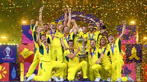 champions6 box cricket